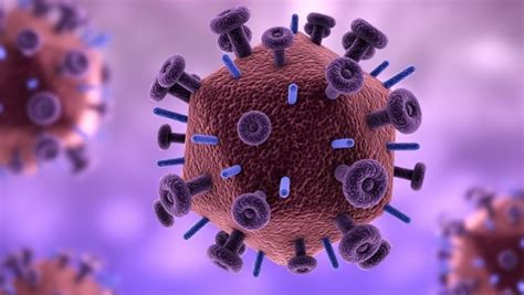 B­i­l­i­m­ ­İ­n­s­a­n­l­a­r­ı­ ­G­e­n­ ­D­ü­z­e­n­l­e­m­e­s­i­ ­i­l­e­ ­H­I­V­ ­V­i­r­ü­s­ü­n­ü­ ­S­i­l­m­e­y­i­ ­B­a­ş­a­r­d­ı­l­a­r­!­